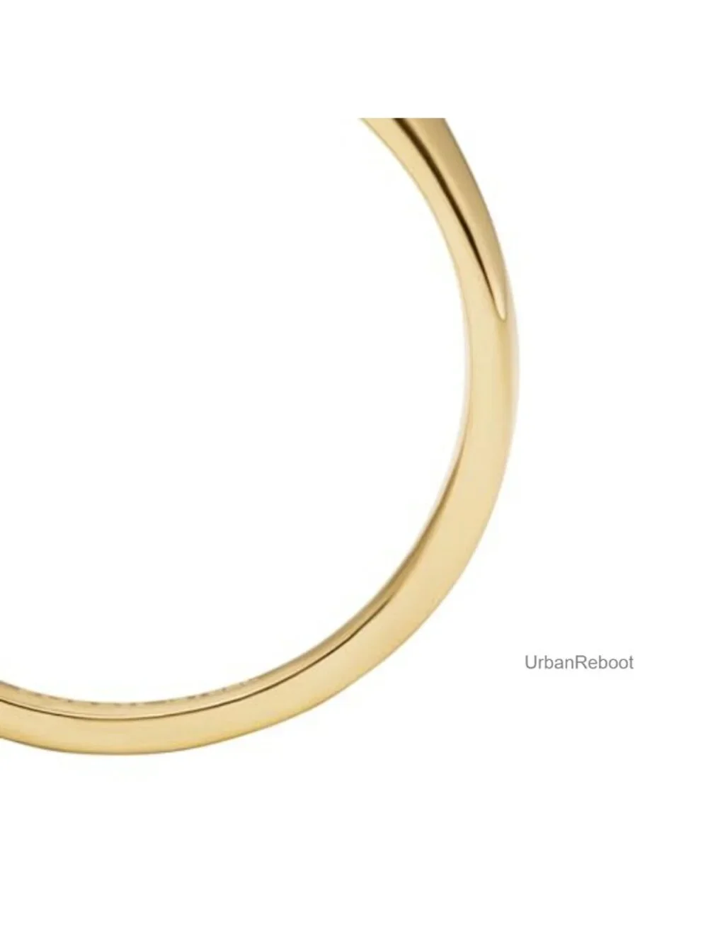 Signet Ring - Gold Stainless Steel Band Ring